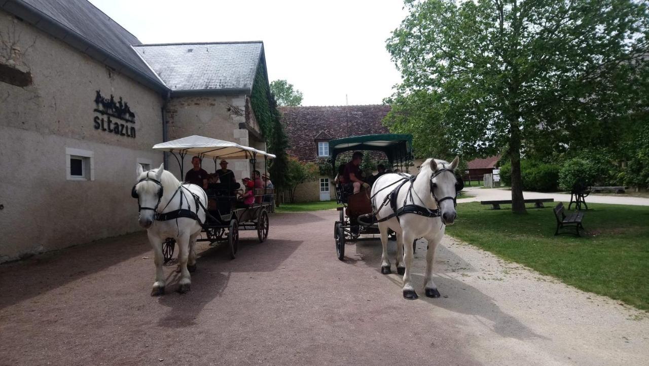 Le Village De Cottages - Le Pole Du Cheval Et De L'Ane Lignières Exterior foto